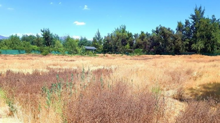 Lo Arcaya, Region Metropolitana, ,Terreno,En Venta,1107