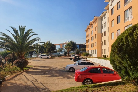 Reñaca, Valparaiso, 3 Habitaciones Habitaciones, ,1 BañoBathrooms,Departamento,En Venta,1126