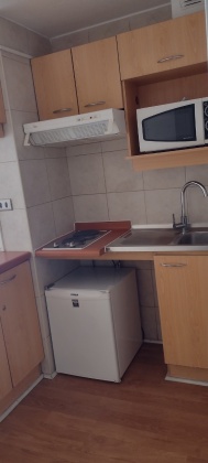 Bellas Artes, Region Metropolitana, 1 Dormitorio Habitaciones, ,1 BañoBathrooms,Departamento,En Arriendo,1128