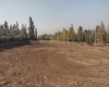 Santa Esther, Region Metropolitana, ,Terreno,En Venta,1136