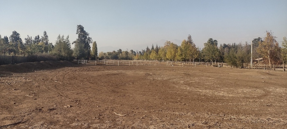 Santa Esther, Region Metropolitana, ,Terreno,En Venta,1136
