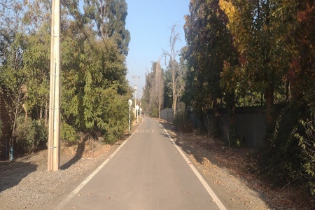 Santa Esther, Region Metropolitana, ,Terreno,En Venta,1136