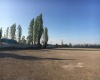 100 Camino Liray, Liray, Region Metropolitana, ,Sitio Industrial,En Arriendo,Camino Liray,1011