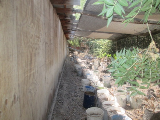 Coquimbo, Region Metropolitana, 4 Habitaciones Habitaciones, ,4 BathroomsBathrooms,Casa,En Venta,1170