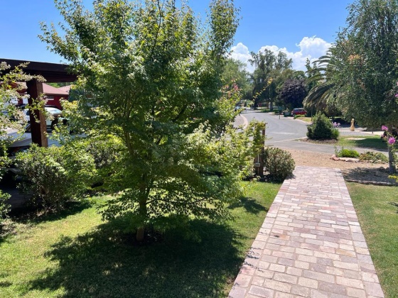 Santa Elena, Region Metropolitana, 4 Habitaciones Habitaciones, ,3 BathroomsBathrooms,Casa,En Venta,1171