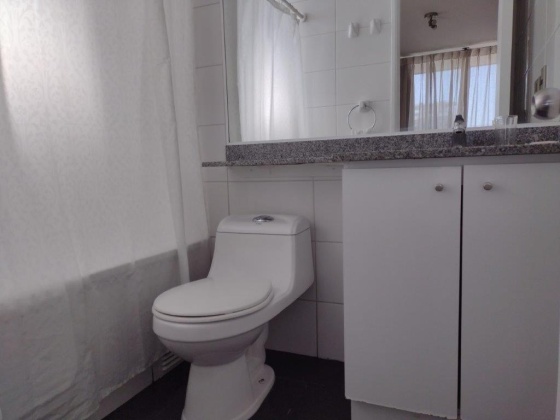 Bellas Artes, Region Metropolitana, 2 Habitaciones Habitaciones, ,2 BathroomsBathrooms,Departamento,En Venta,1173