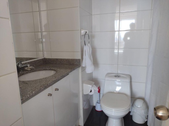 Bellas Artes, Region Metropolitana, 2 Habitaciones Habitaciones, ,2 BathroomsBathrooms,Departamento,En Venta,1173