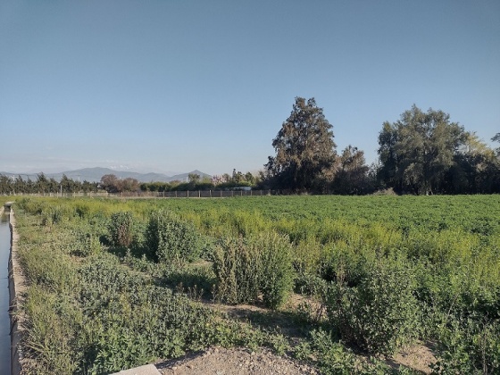 Santa Esther, Region Metropolitana, ,Local Comercial,En Venta,1181