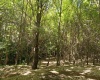 Capilla sur, Ñuble, ,Terreno,En Venta,1182