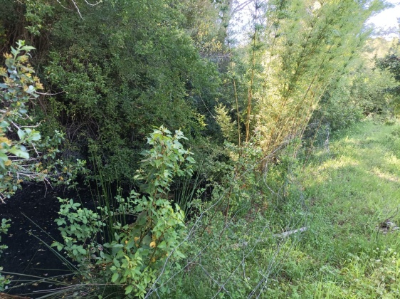 Capilla sur, Ñuble, ,Terreno,En Venta,1182