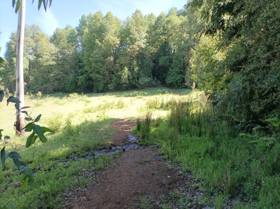 Capilla sur, Ñuble, ,Terreno,En Venta,1182