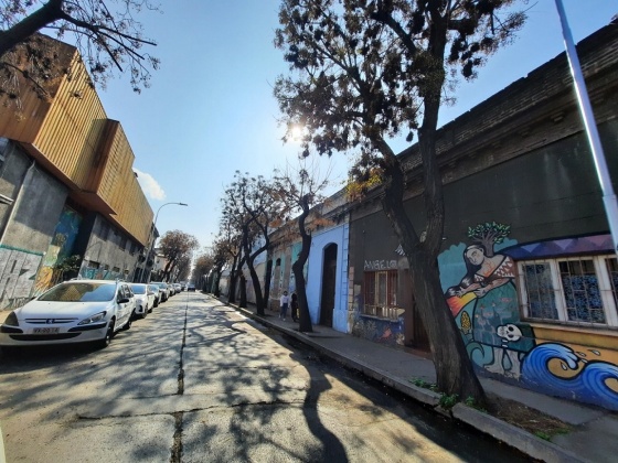 Yungay, Region Metropolitana, ,Terreno,En Venta,1183