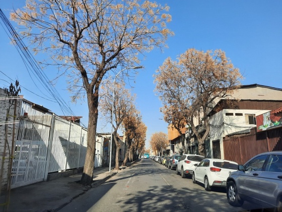 Yungay, Region Metropolitana, ,Terreno,En Venta,1183