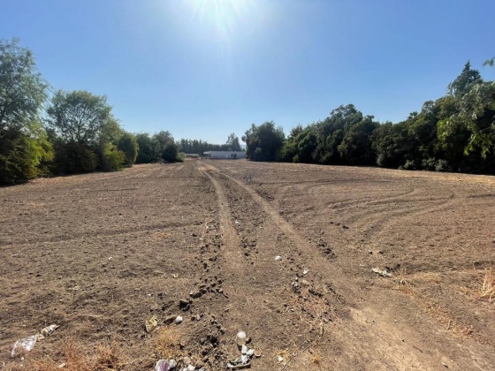 Santa Esther, Region Metropolitana, ,Terreno,En Venta,1184