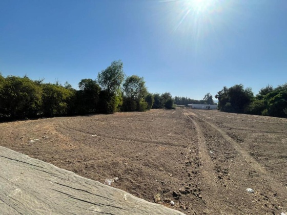 Santa Esther, Region Metropolitana, ,Terreno,En Venta,1184