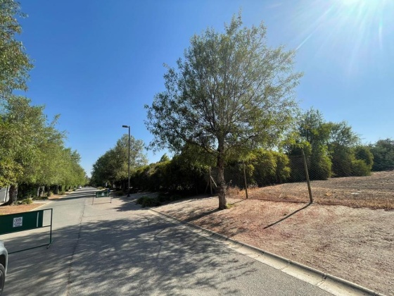 Santa Esther, Region Metropolitana, ,Terreno,En Venta,1184