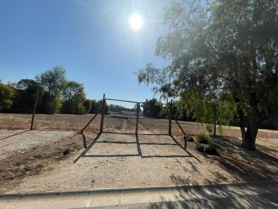 Santa Esther, Region Metropolitana, ,Terreno,En Venta,1184