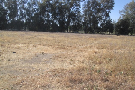 Los Arrayanes, Santa Esther, Region Metropolitana, ,Sitio Inmobiliario,En Venta,1023