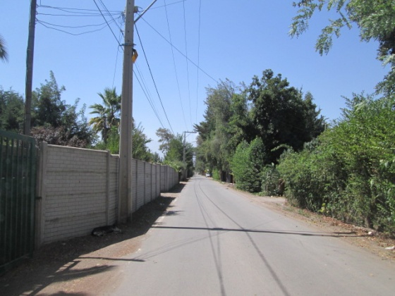 Santa Elena sur, Region Metropolitana, ,Sitio Inmobiliario,En Venta,1081